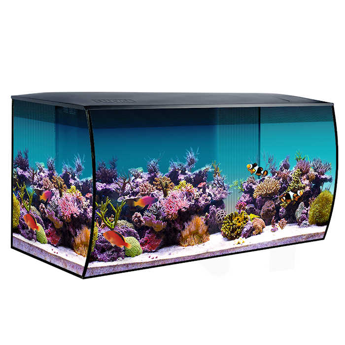 Fluval Sea Flex 32 Gal. Marine Aquarium Combo - Black Questions & Answers