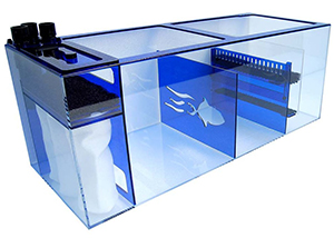 Trigger Systems Sapphire 39 Refugium Sump Questions & Answers