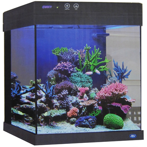 JBJ 15 gal. Cubey Aquarium - Black Questions & Answers