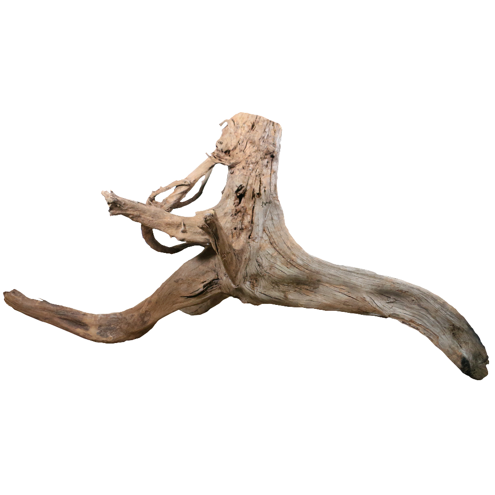 Malaysian Driftwood, Super WYSIWYG 28" x 57" Questions & Answers