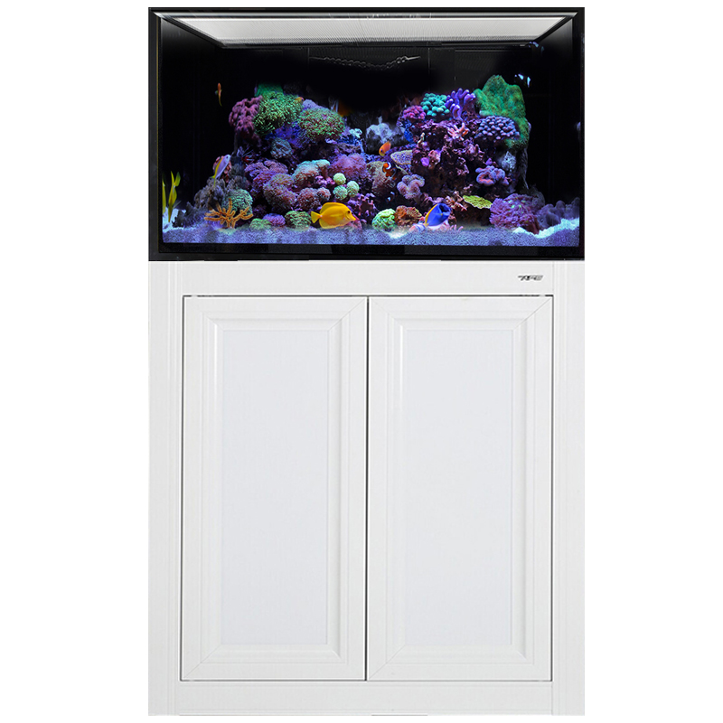 IM INT 50 Gallon Complete Reef System – White Questions & Answers