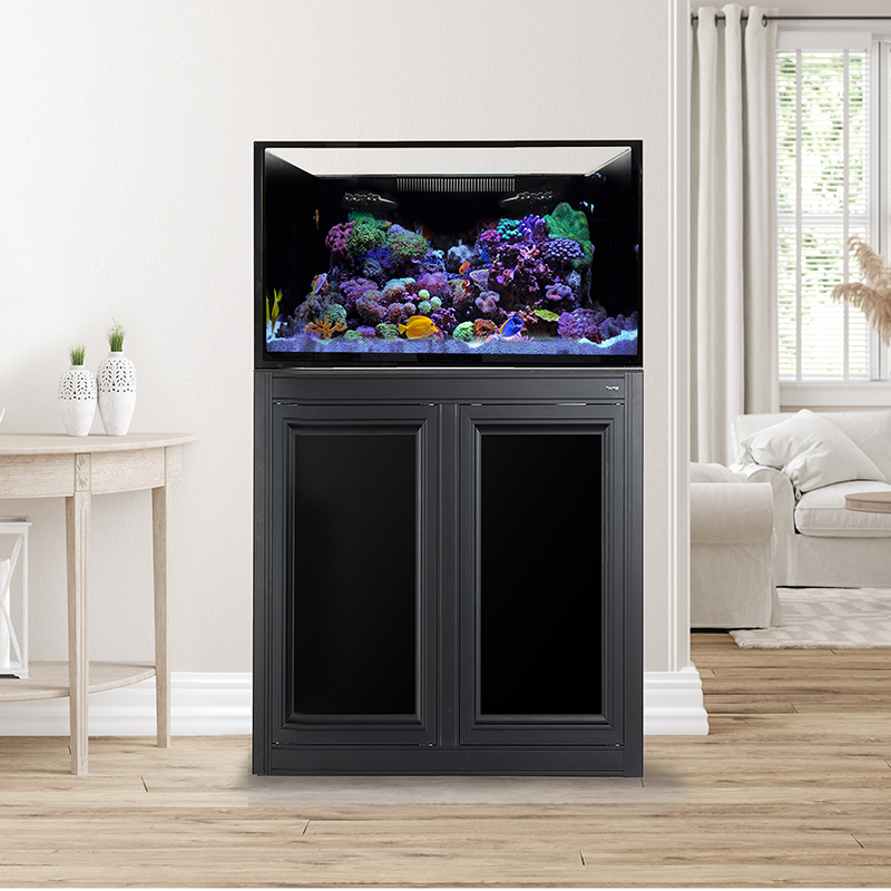 IM EXT 75 Gallon Complete Reef System – Black Questions & Answers