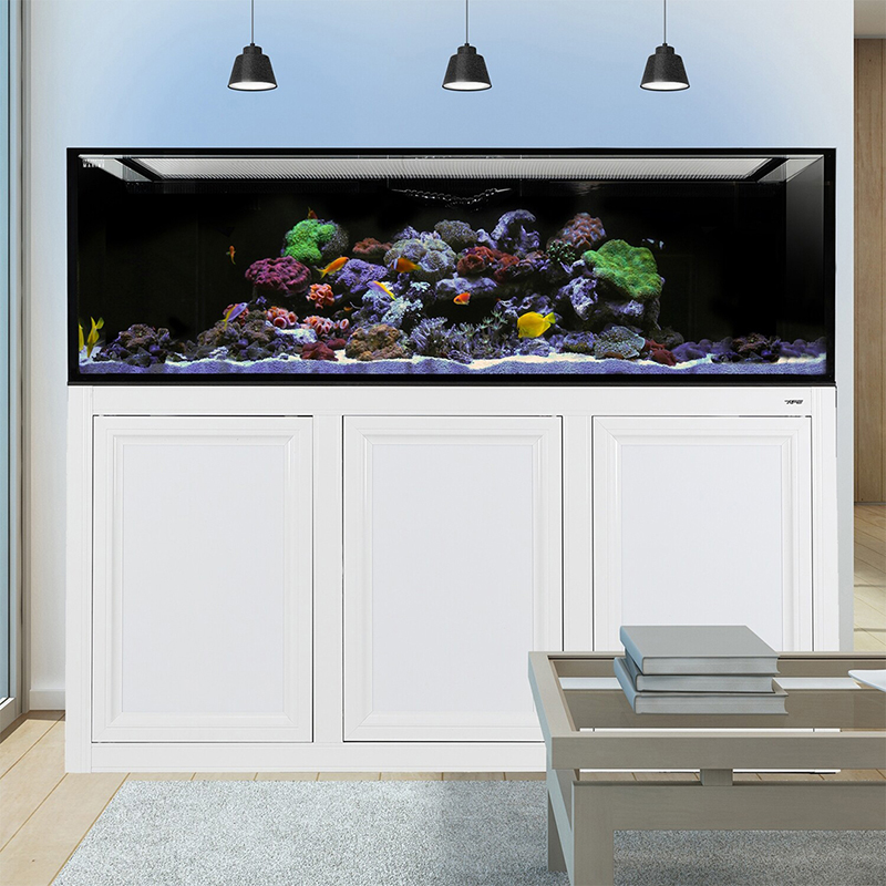 IM INT 200 Aquarium w/ APS Stand - White (Made to Order) Questions & Answers